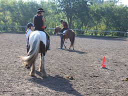 img_0221_web